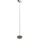 Royyo 45.5 inch 11.00 watt Silver with Oiled Walnut Floor Lamp Portable Light